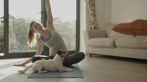 Habit Coach introduction video screenshot of young women doing yoga with dog present.
