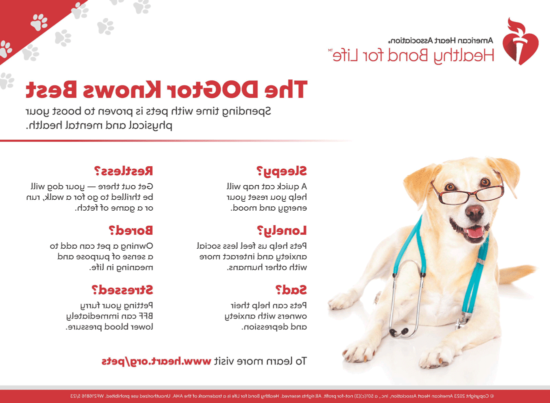 The DOGtor Knows Best Infographic